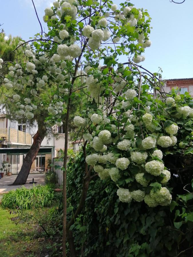 Chambre D'Hotes Pmr Hildegarde Moissac Exteriör bild